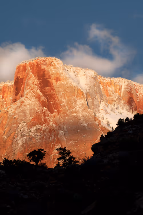 Item #104222477878936975550568713233497043538790385416897933242955975561738197139457 Media