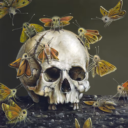 Item #91015854458775626546266917337677518118210678757598385512114170877652821344257 Media