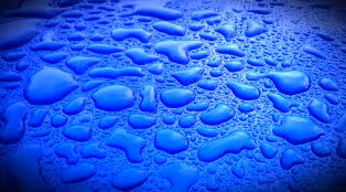 ScoobyBlue