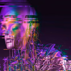 PURPLE SCHISM