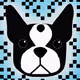 80658368129337691042389905778856592011954451497496062341822314083743814385665