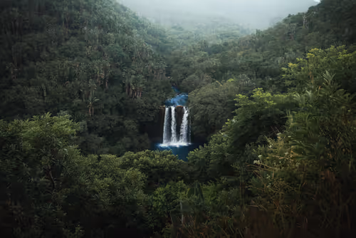 Item #82007330900791544464165619795045730741367351453180481103440088209024054460417 Media