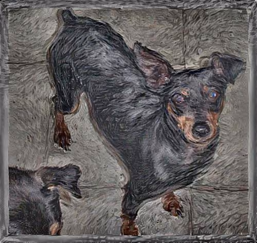 Gogh Dog #0624