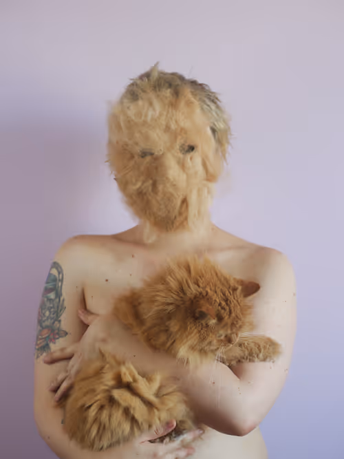 Item #74044223418963058719430139109127574928607342041478017501753412537874378653697 Media