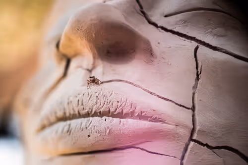 Item #96722404509651341404320943971918278257484839250108932769859130372061810130945 Media