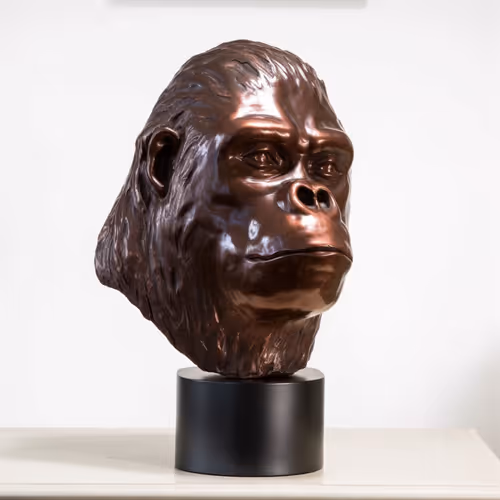 Item #76287133816210494683060693461716334234931774608590518424796729400295730184193 Media