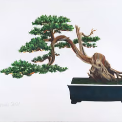 Hand Painted Bonsai #0010