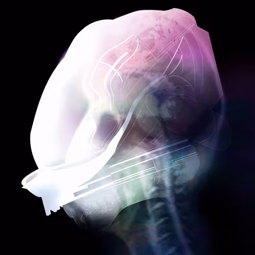 Item #66002049444266872069619480768984442164265518794664463686043637993279378685953 Media