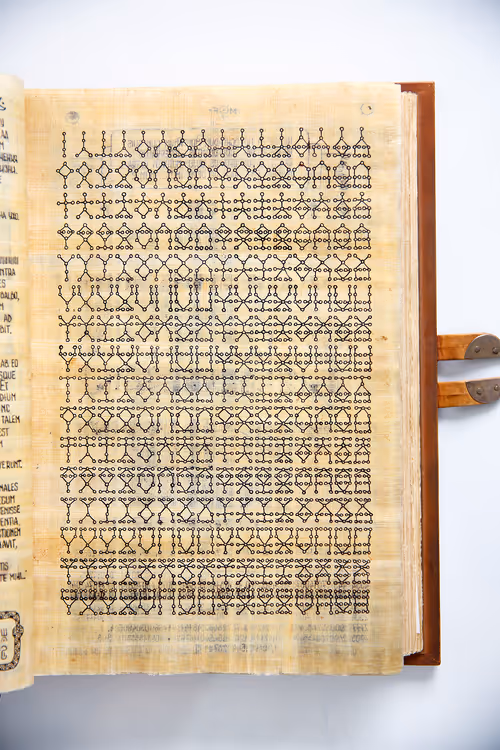 Item #76710954621293814021517577192663515291415149369826023063624470528991382470657 Media