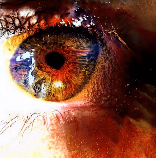 Item #73500473601639277492783536232978387069951164458626547516930003837743754379265 Media