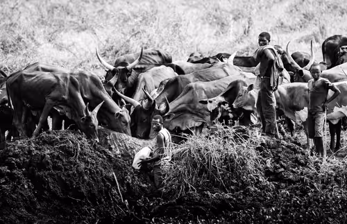 Item #58262470087510241475804408796185118606730268784906765078143705885608142438525 Media