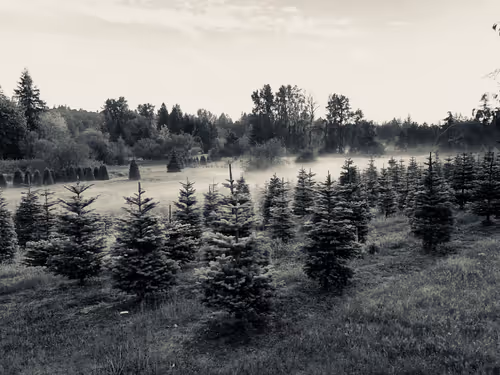 Item #31654410280115823025506001687003673065121824444213070757845373072778364715009 Media