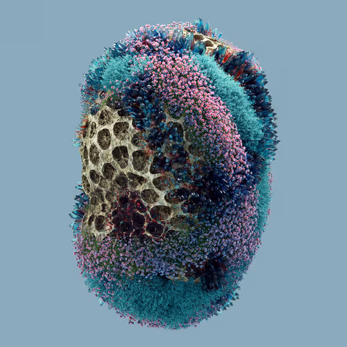 Item #29025029791859050124720480462956340608557292548544538512690378045698139488257 Media