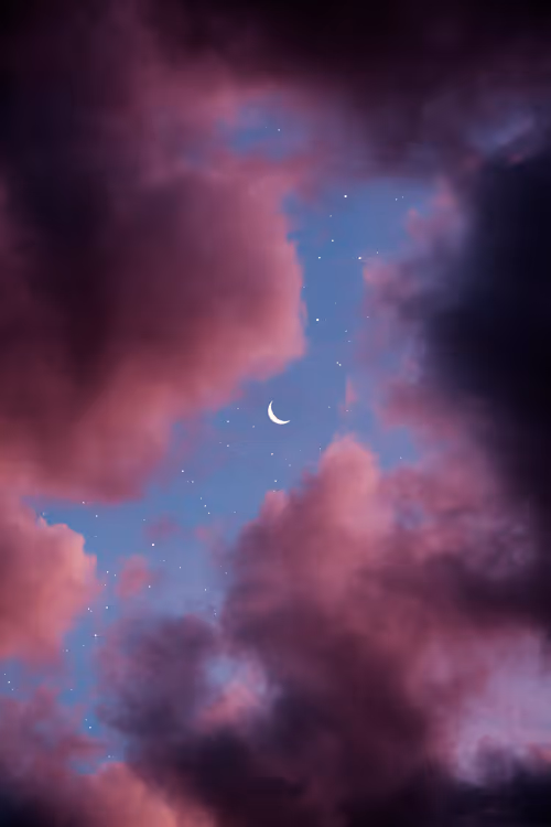 Item #9516099056367242152996622501750151802451978225621664057436231451156399783937 Media