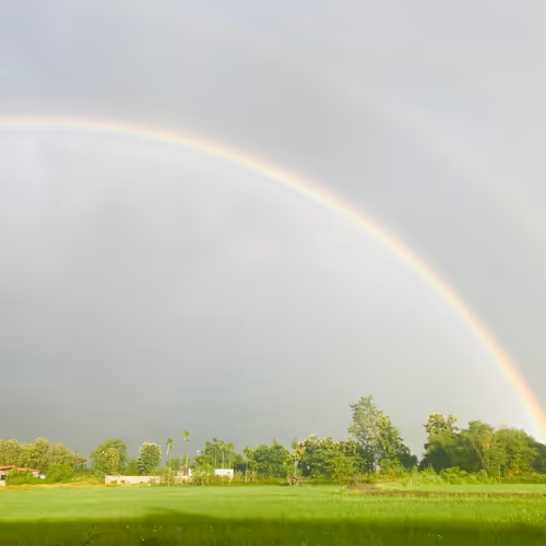 circleecho Collection