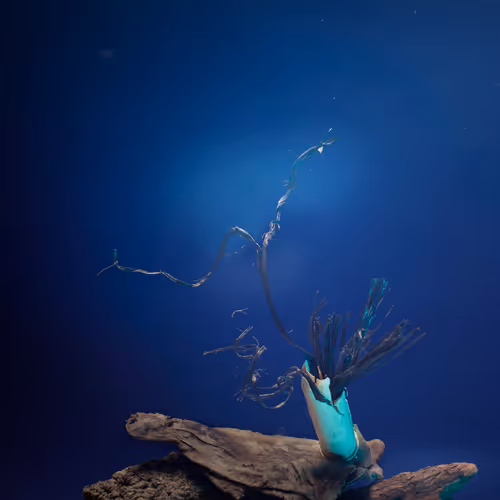 109516060790128716410476023957010007194992899360469946350860993274311732101121