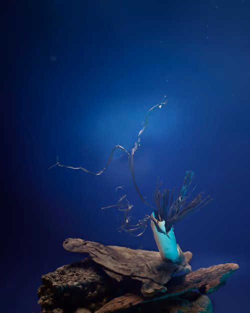 Item #109516060790128716410476023957010007194992899360469946350860993274311732101121 Media