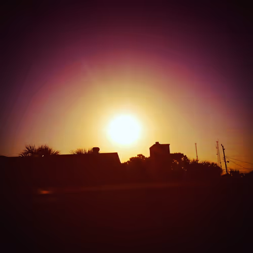 Summer Rays