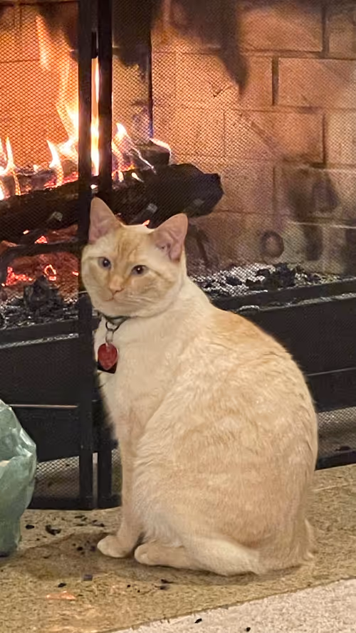 Item #85372614451601049128390630947184924740870395755451732098138121156263074070529 Media