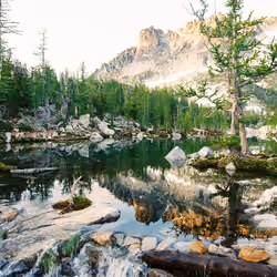 05. Serene Enchantments 