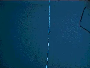 Item #65033471295990105292863051236151584237795401292805181333653600465049958219777 Media