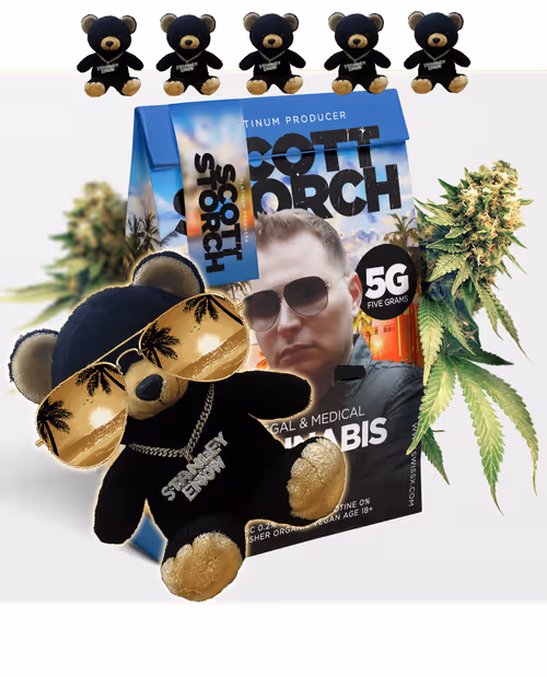 Item #45088590917630179738363050390991144714197488359678252485463479222266731954177 Media