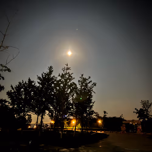 Untitled Collection #50928230