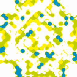 Eveseed Intermediate 8