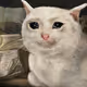 42507462484339698091874843487695778481102036670390906441558302355165982752769