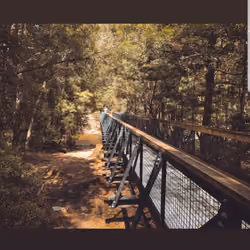 Chasing Destination