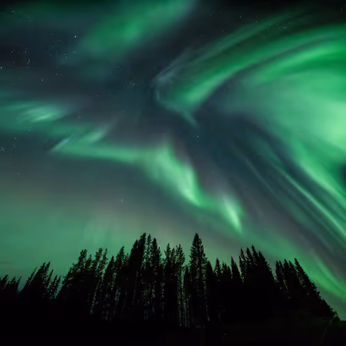 Item #88000790738585356177906877532357843810650647350531678193929358437533349838849 Media