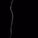 79655167907517619364713975577317788096264741034631426669771217883329405648909