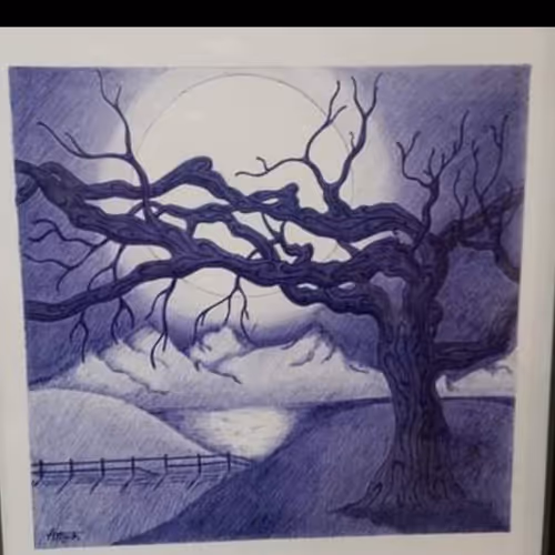 Kevin_757 Collection