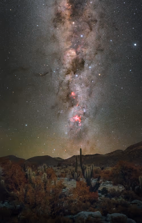 Item #40603534861901570869094236654566806841272003589597749001779762383424485064709 Media