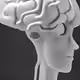 63919951459196800444869765808923682995561540343209821195184670955893822586883