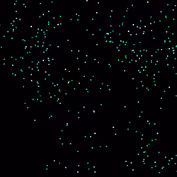 79474043386007515231711426365448879715168924404193302759635951027757487489025