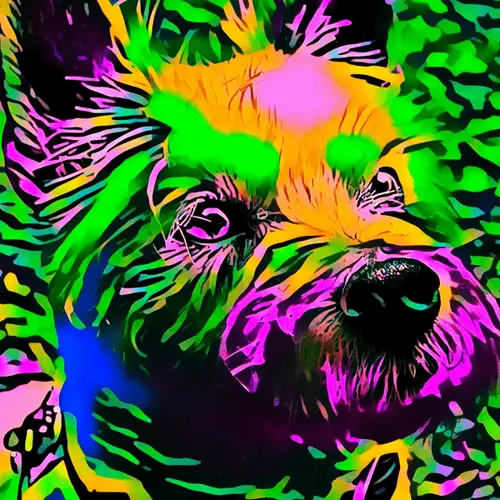 Item #50830097462543580601473563981388698009005024090223633461481090269238484009060 Media