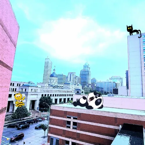 Untitled Collection #123957228