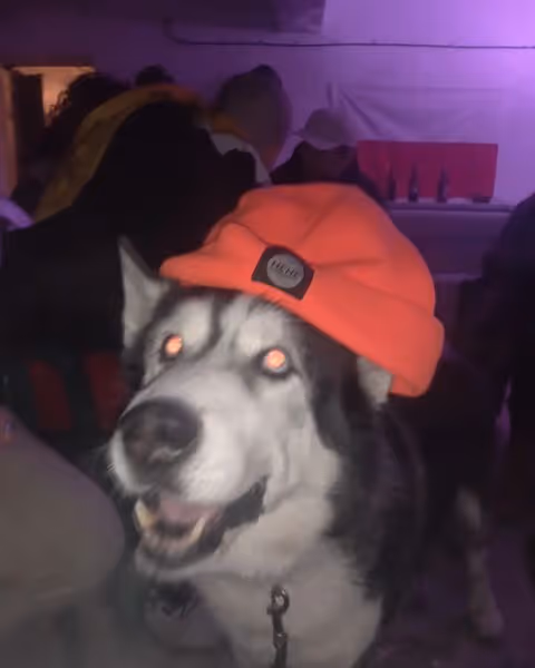 Item #72526142429978226161313374153649621561631214207284574341241201815598751809537 Media