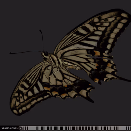 Item #58963443345665771353505984304139328775102797162935968682550101694554841284609 Media