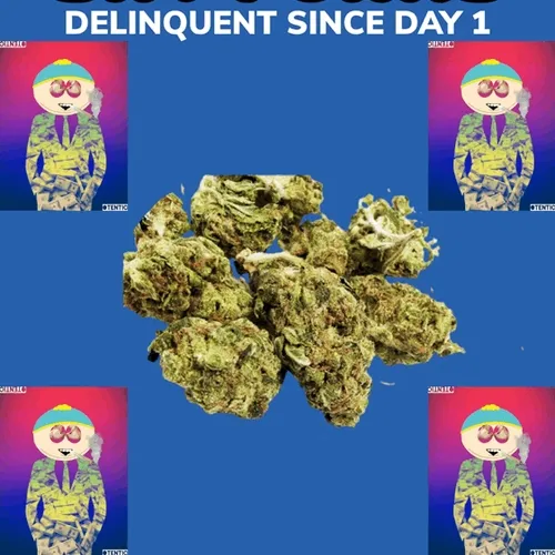 SHYPUNKS Collection - old