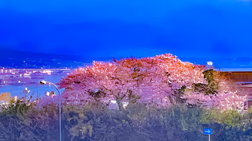 Item #26309083901545567454709889211670292098627789932924015051489478889906192252933 Media