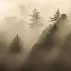 #1 - Light rays