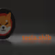 36290747964767031145822291224245853829767484636746711404662479340222755635201