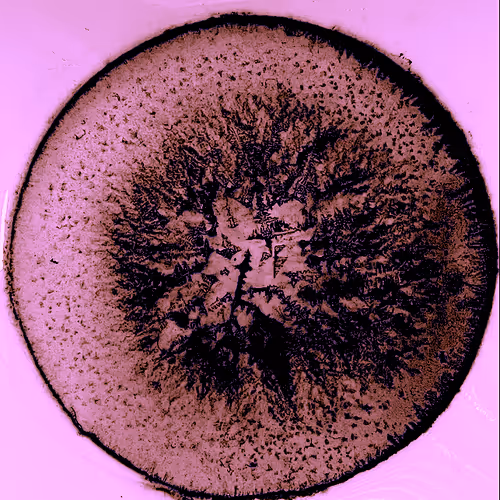 Venti One Offs - old