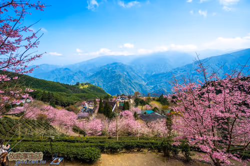 Item #100744422725674417057824683306763013505668843176654858816283483961519327150081 Media