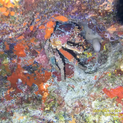 80965803268169370603932631570667161375508893671094224909166963910508644663297