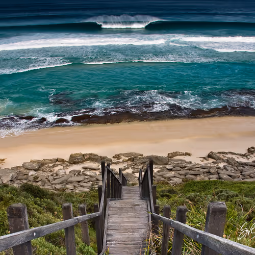 Coastlifephotography