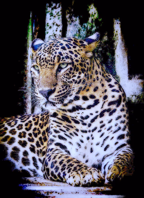 Item #112706814490930413132795555787302569515543672113453404084317514493092211720193 Media