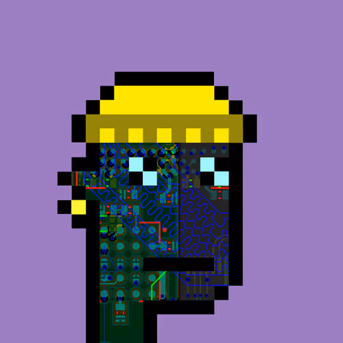 Punkcircuit